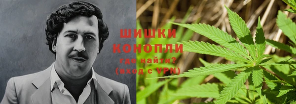 ПСИЛОЦИБИНОВЫЕ ГРИБЫ Алексеевка