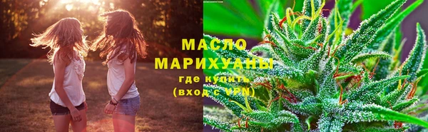 сатива Абинск