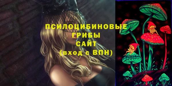 герыч Алексин