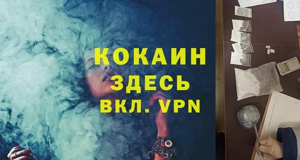 прущие грибы Корсаков