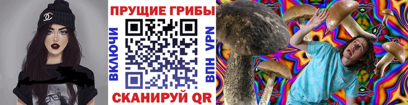 Псилоцибиновые грибы Cubensis  наркошоп  гидра tor  Алейск 